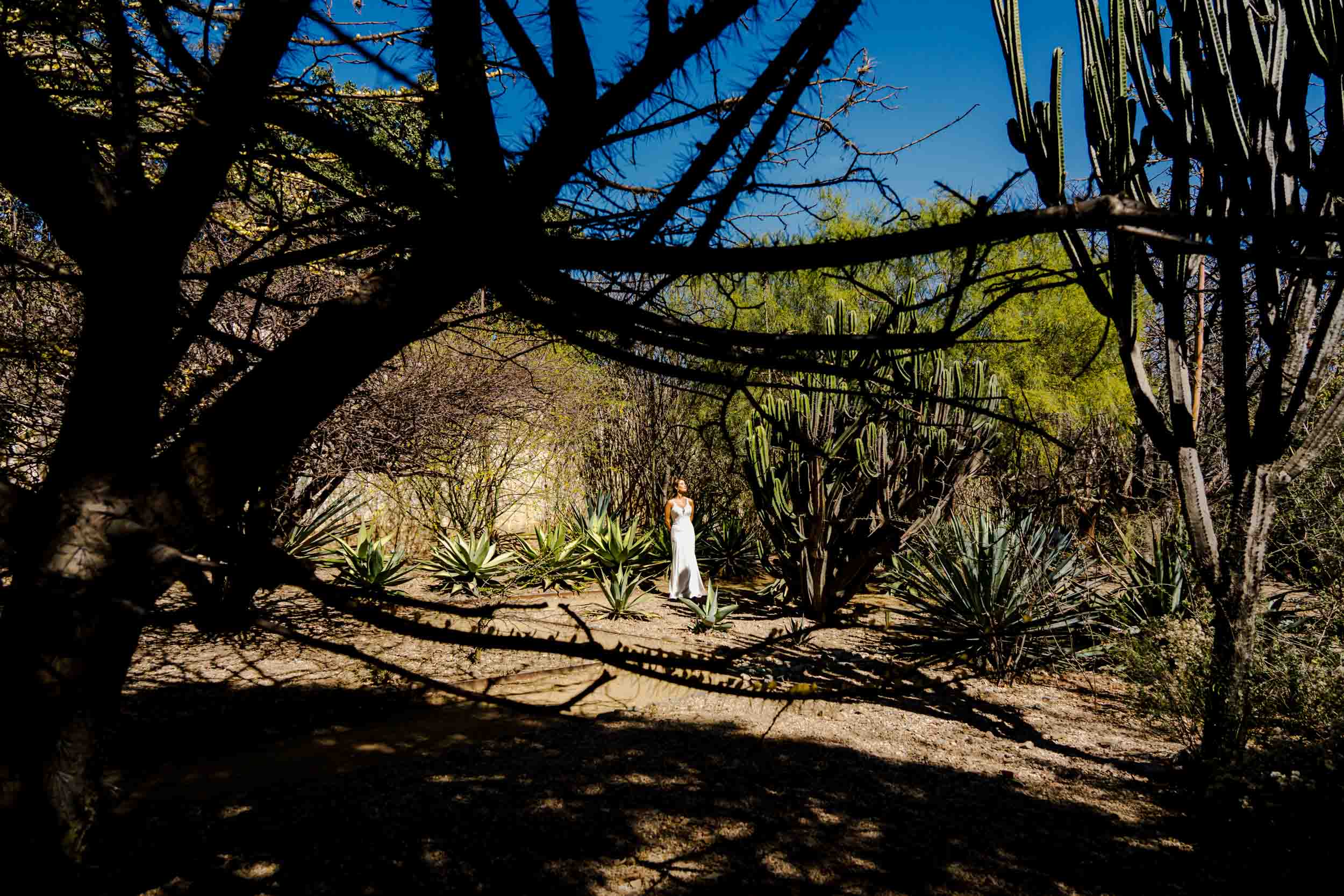 Sylvana & Felipe — Hotel Quinta Real, Jardín Etnobotánico — Douglas Favero Photography