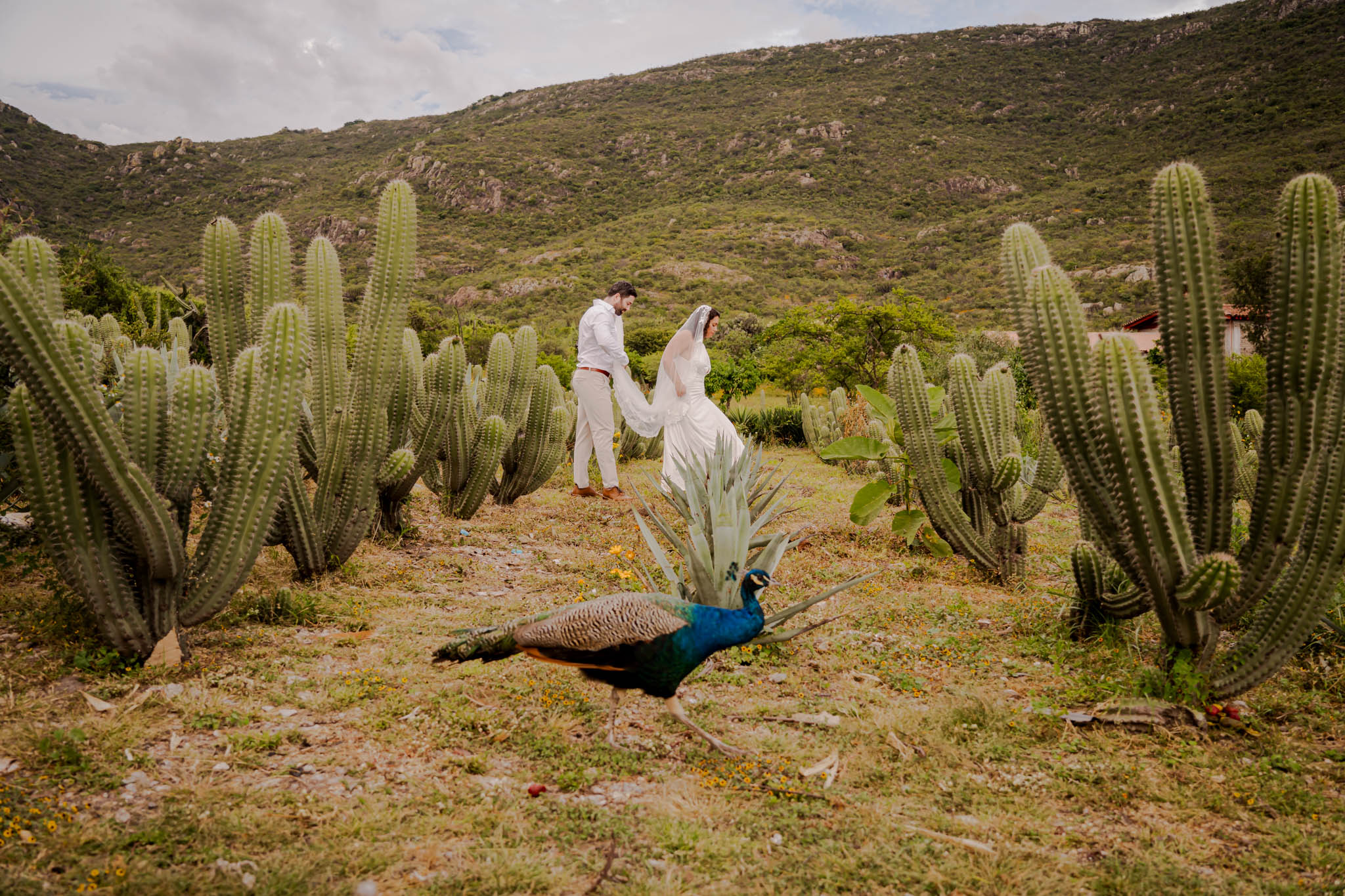 Nicole & Benji — Near Yagul, Oaxaca — Douglas Favero Photography