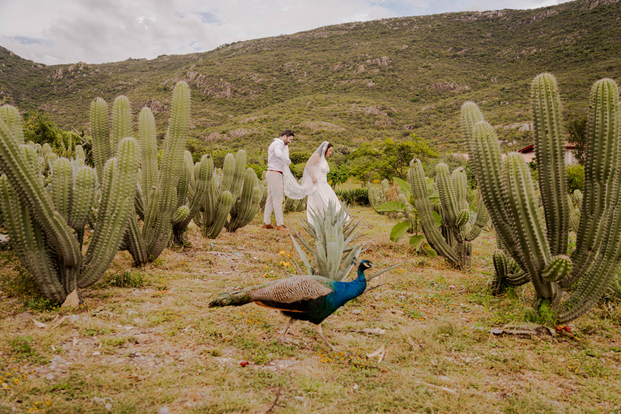 Nicole & Benji — Near Yagul, Oaxaca — Douglas Favero Photography