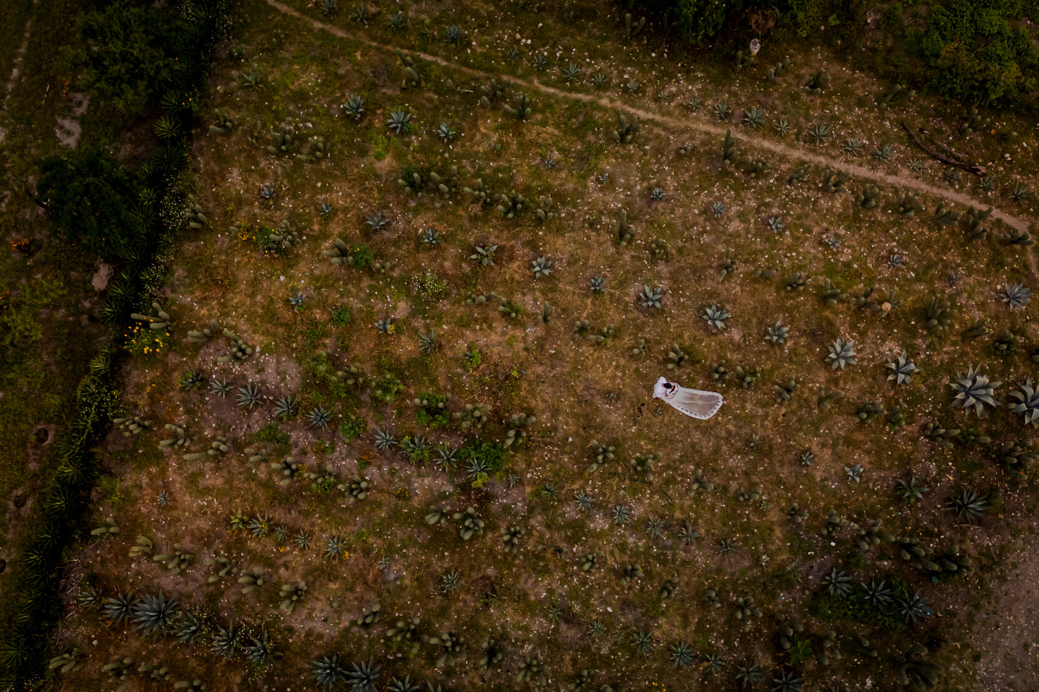 Nicole & Benji — Near Yagul, Oaxaca — Douglas Favero Photography