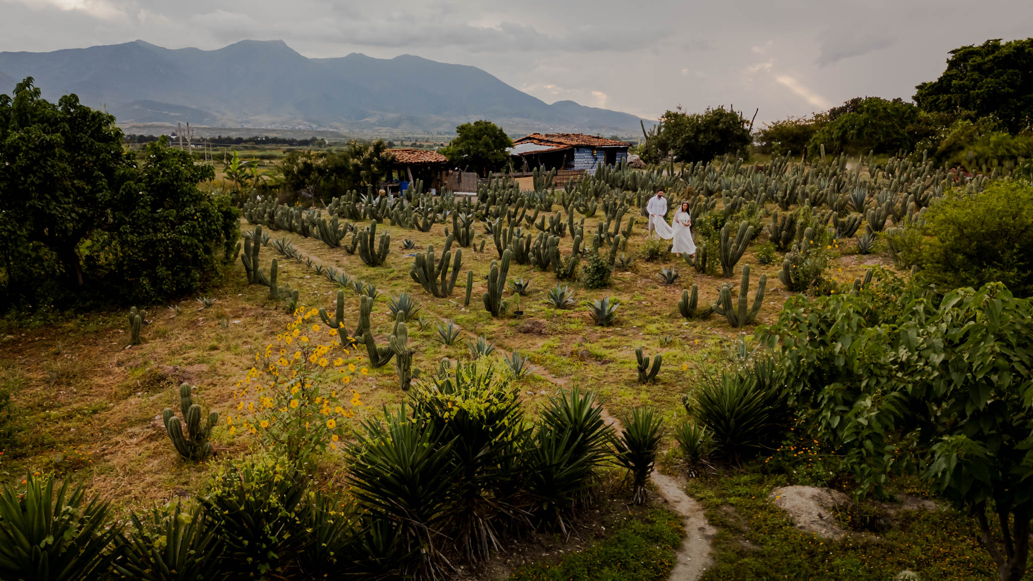 Nicole & Benji — Near Yagul, Oaxaca — Douglas Favero Photography