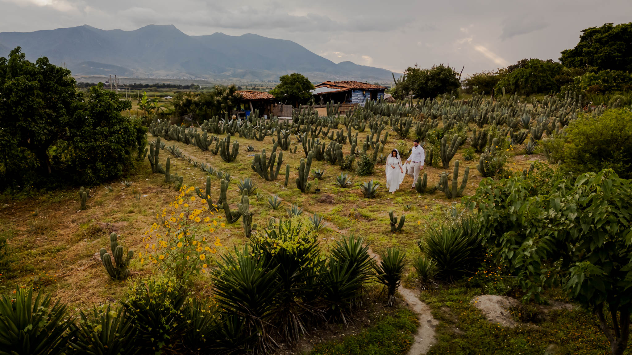 Nicole & Benji — Near Yagul, Oaxaca — Douglas Favero Photography