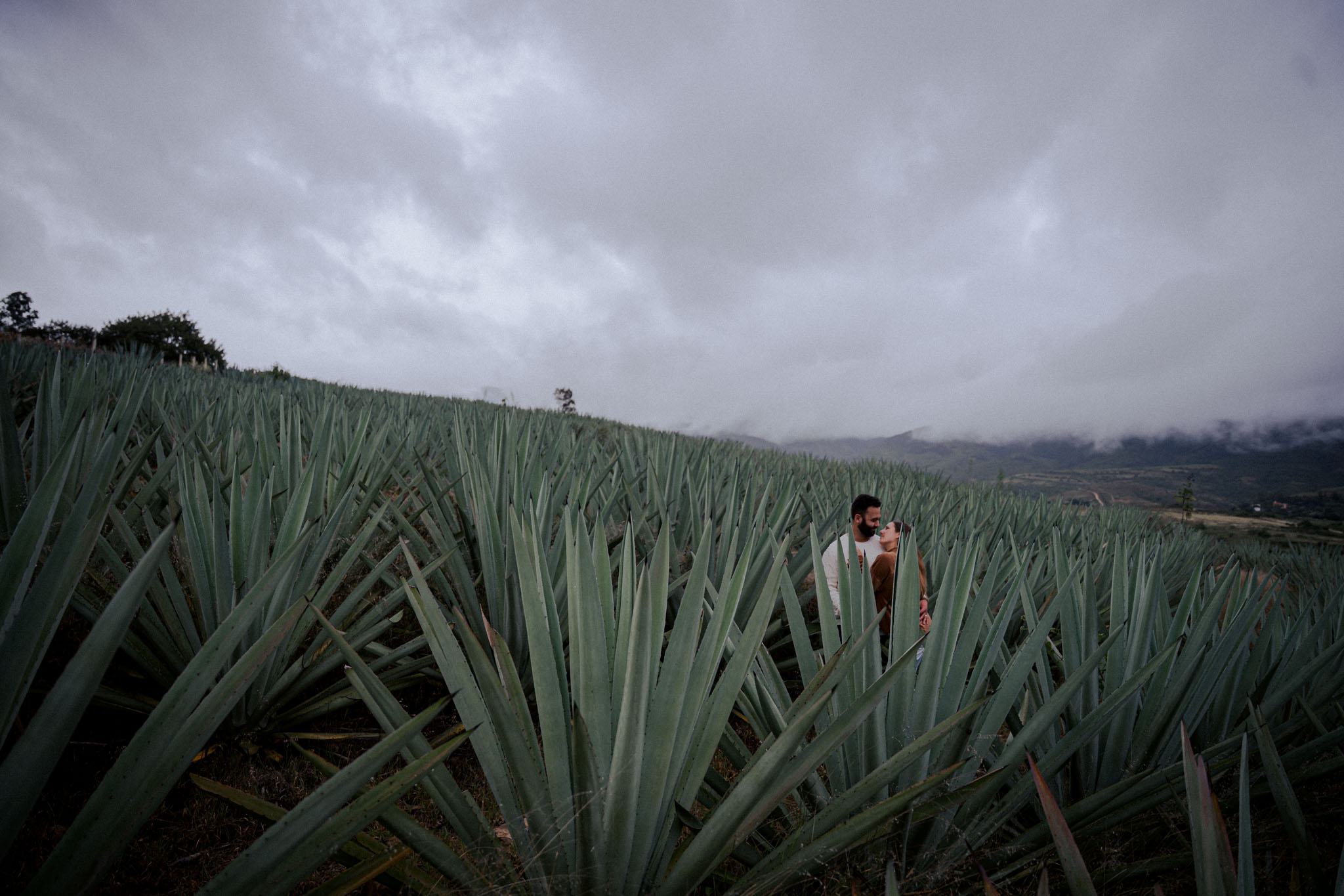 Sarah & Ismael — Loma Noble — Douglas Favero Photography