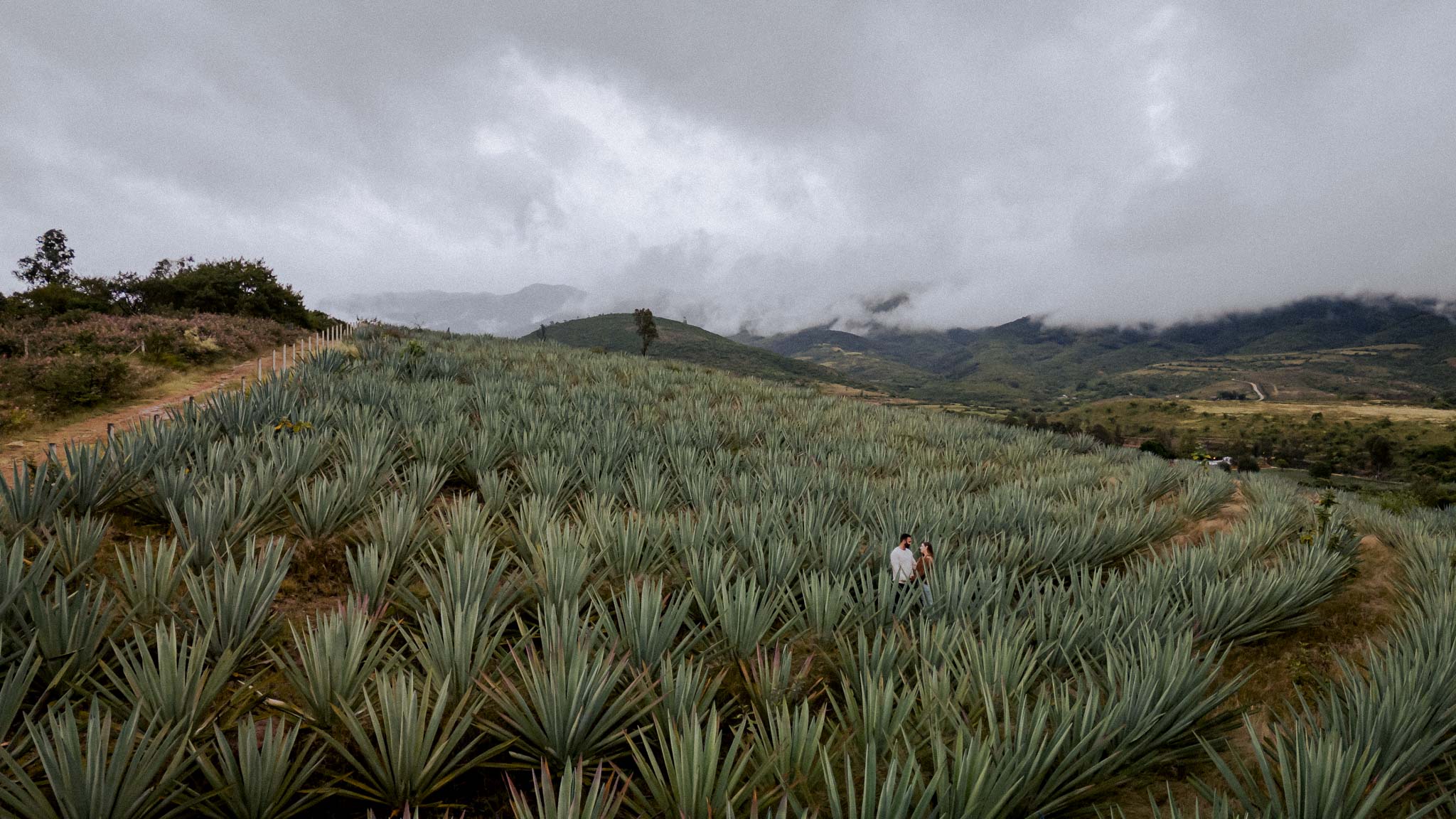 Sarah & Ismael — Loma Noble — Douglas Favero Photography