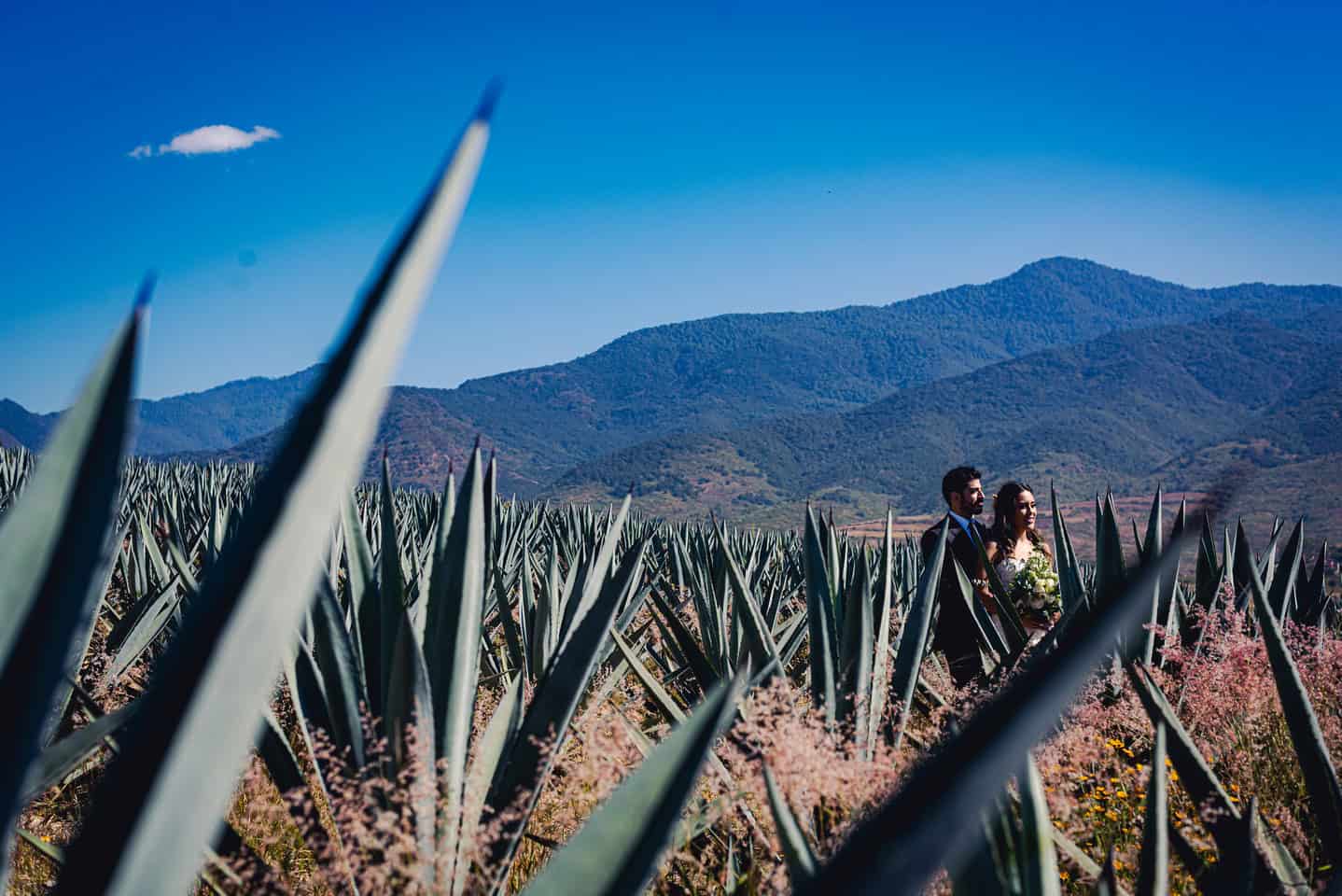 DouglasFavero.Photography.LomaNoble.Oaxaca.L.R_ (6)
