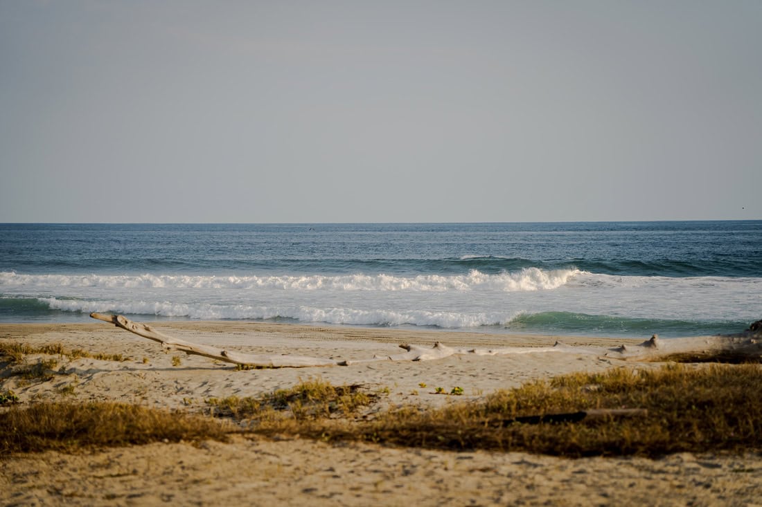 DouglasFavero.Mar.y.Mar.Puerto.Escondido.Oaxaca.M.D.._ - 2025-01-07T214128.277