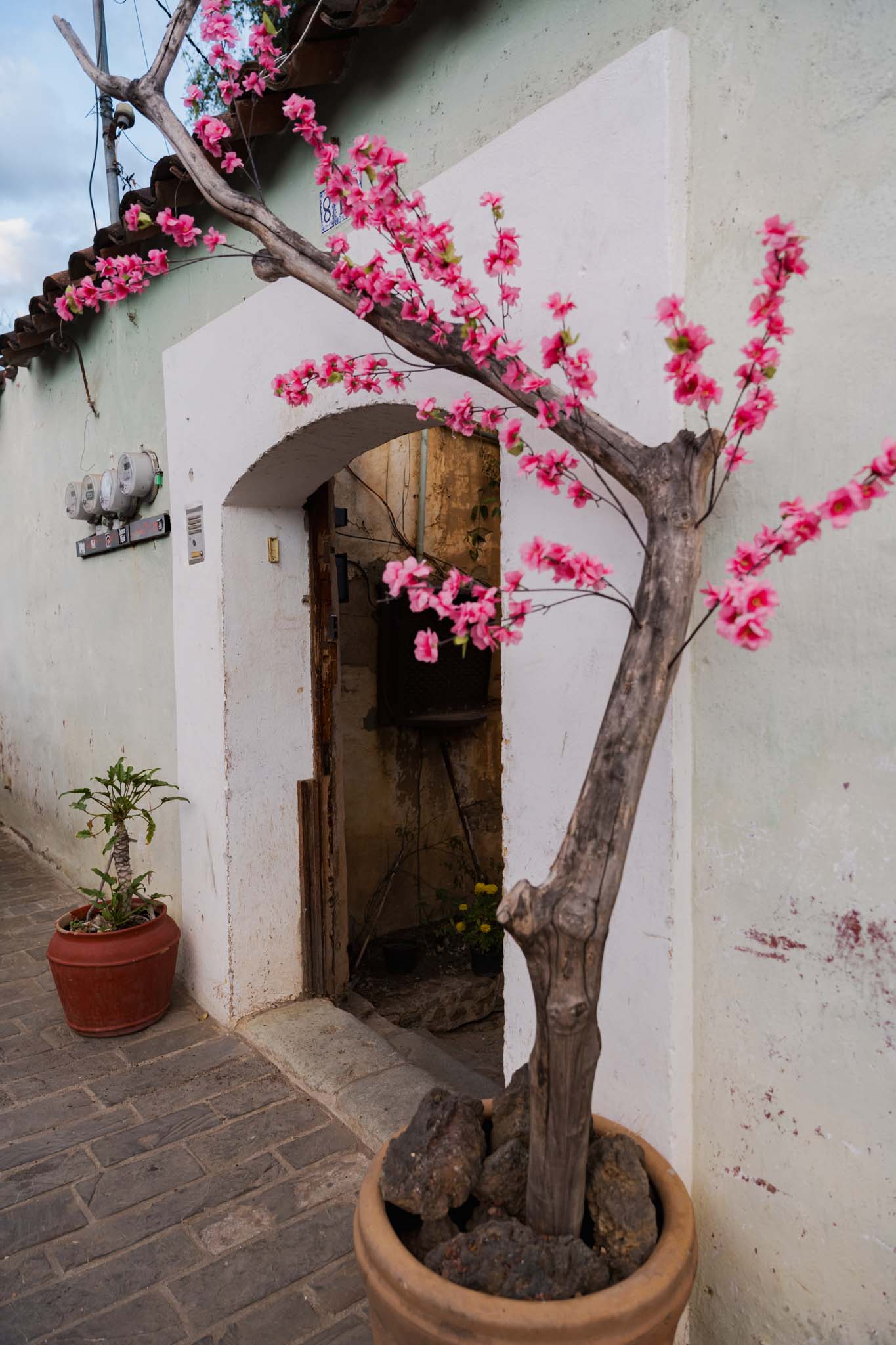 Vianey & Greyson — Esplanada Santo Domingo / El Chef Zapoteco — Douglas Favero Photography
